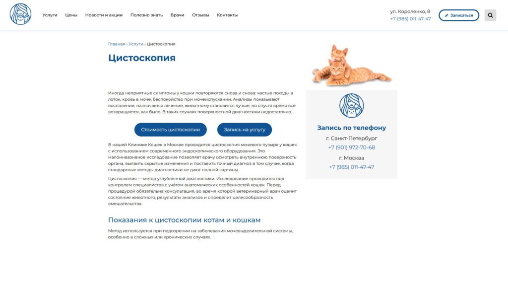 Коммерческая страница цистоскопии на московском сайте