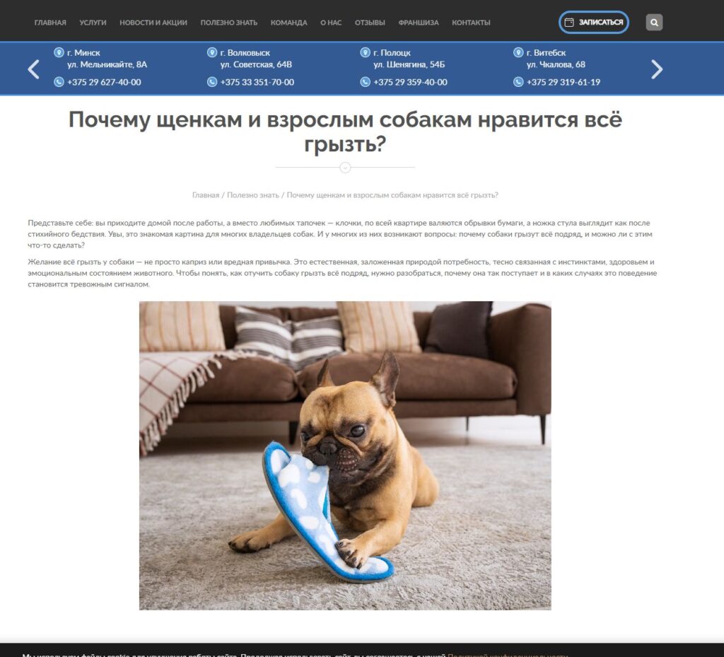 Статья о том, почему собаки всё грызут