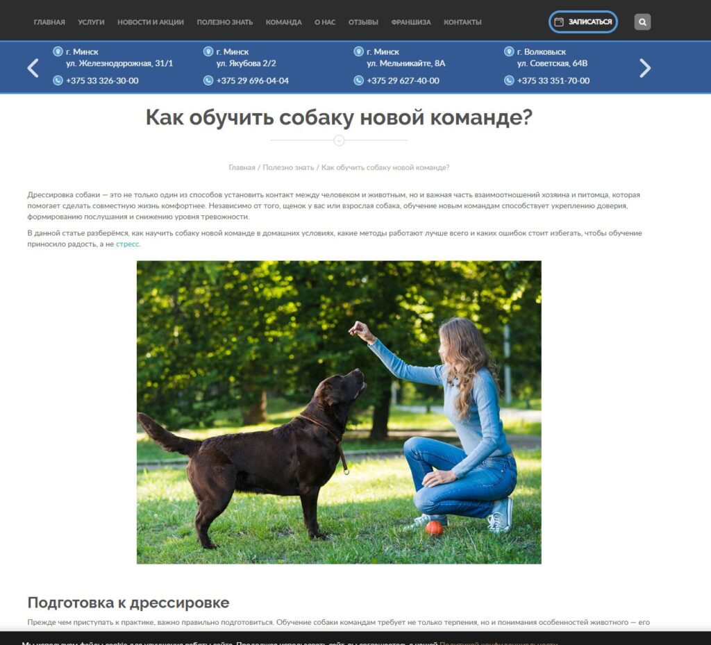 Статья «Как обучить собаку новой команде?»